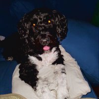 MarissaP___ (@nolposty) 's Twitter Profile