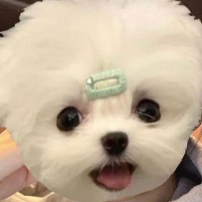 gimyuna95991040's profile picture. 