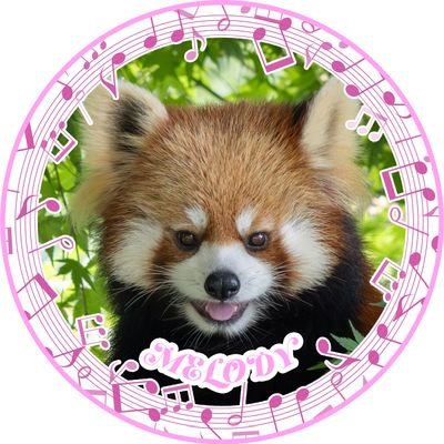レッサーパンダと馬と爬虫類をこよなく愛する人、ジャズメロの推しをやらせてもろてます
無断転載禁止、無断じゃないならOK/2024ロッポ博士
Bluesky:sstk-15