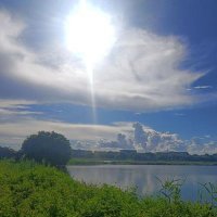 Peerless (@jush281566) 's Twitter Profile