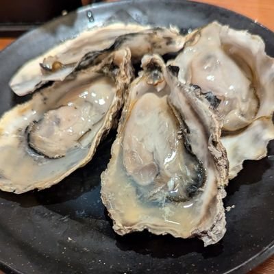 梅じゃけ丸さんのプロフィール画像