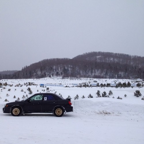 MDupelle's profile picture. 