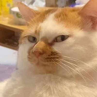 asto_a_f's profile picture. asto 🇮🇩