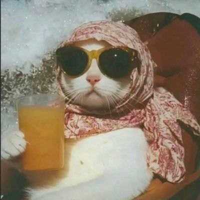 MintminELF_38's profile picture. My love 💗 😸🐣 💖 III  Have a nice day.