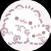 . (@qru1v_) Twitter profile photo . (@qru1v_) Twitter profile photo