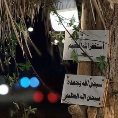 misk1l's profile picture. 