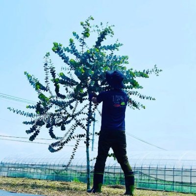 信長出陣専用Discord運営者 オープンDiscordです→https://t.co/kcG9F7MN5U 2025年の目標:iDeCoを始める、blogの定期更新、youtube始めた⁉️→ https://t.co/iixGwZE2Po