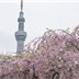 副業で安定した収入を得る方法を紹介中。副業を始めたい人に有益な情報を提供。小規模ですがお金配り企画も実施中♫ 詳しくはこちら▷ https://t.co/RB5wOqBwSb