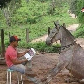 CianoAzulado3's profile picture. Terceira conta nessa bodega,pois pelo o que parece,não tinham nem meu número ou e-mail vinculado a conta.