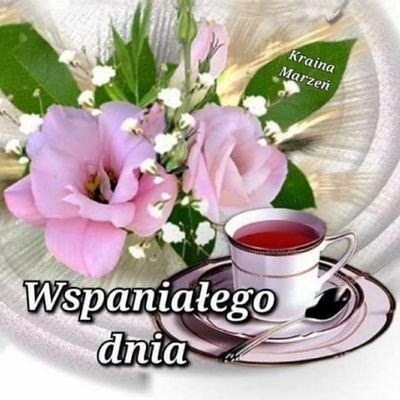 JarekJa66740752's profile picture. 