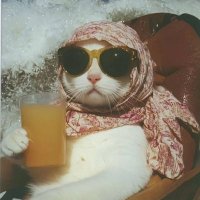 🧚‍♀️ (@tomrisr7) Twitter profile photo