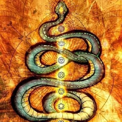 ThanalveeranK's profile picture. director
Film Actor& social Activist
director and Actor