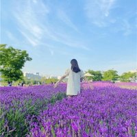 カツコ (@katsuko31386804) 's Twitter Profile