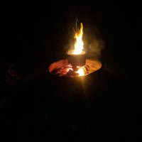 The Ghost of Freedom Future (@ungovernable79) 's Twitter Profile