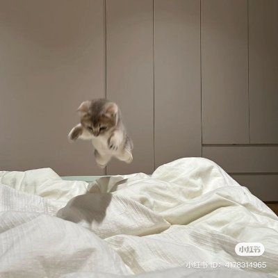 rainmakerguaran's profile picture. テキトーに楽しんでます＾＾