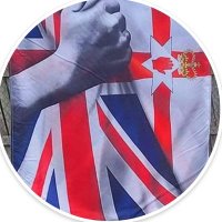 Cate🇬🇧🌺💙✝️🇮🇱🧡 (@shankill_heart) 's Twitter Profile Photo