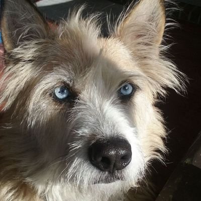 DOK184885's profile picture. 