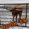 SoDakMurdock's profile picture. You can't let praise or criticism get to you. It's a weakness to get caught up in either one. -John Wooden