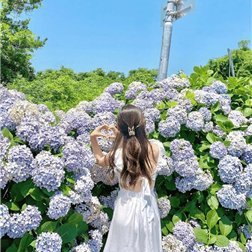 aika184559's profile picture. お金の悩み解決術やお得な情報など紹介中。自身がお金に苦労した経験から生活に苦しんでいる方を救いたいと思い、僅かですがお金配り企画をしています☆ 詳細はこちら▶ https://t.co/LI5VwzZDoC