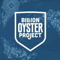 Billion Oyster (@billionoyster) 's Twitter Profile