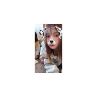 ᑕhina𖤐 ✿ (@nyuuuun1818) 's Twitter Profile