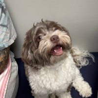 Calliope (@calliope133) 's Twitter Profile