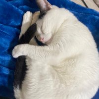 だいき (@_nandeyanen__) 's Twitter Profile