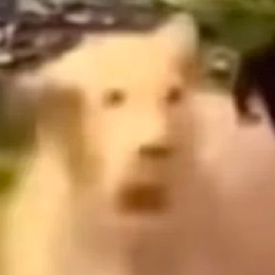 jian33511275539's profile picture. 