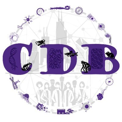 @NU_CDB