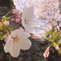 佐藤和男 (@sainokuni2000) Twitter profile photo