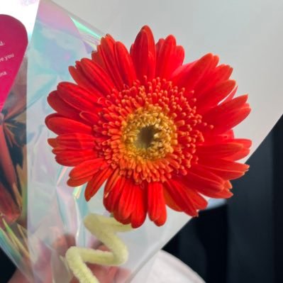 mayangagt's profile picture. to be business women