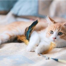 お金の増やし方やお得情報など共有中。自分がお金に苦労したので生活に苦しんでいる人の力になれればと思い、わずかですがお金配り企画を始めました! 期間限定➡ https://t.co/she7bbYasi