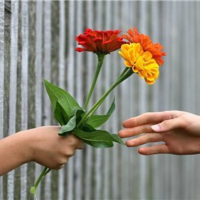 副業で収入を増やすコツを紹介中。副業を始めたい人にお得な情報をお届け。多少ですがプレゼント企画も実施中。 フォロワーさん優先▶ https://t.co/IpdWUEa0fs
