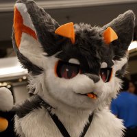 Ace / Cinderblaze (@alishk_ace) 's Twitter Profile