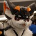Ace / Cinderblaze (@alishk_ace) Twitter profile photo Ace / Cinderblaze (@alishk_ace) Twitter profile photo