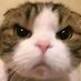 c0n (@c0n_fps) Twitter profile photo c0n (@c0n_fps) Twitter profile photo