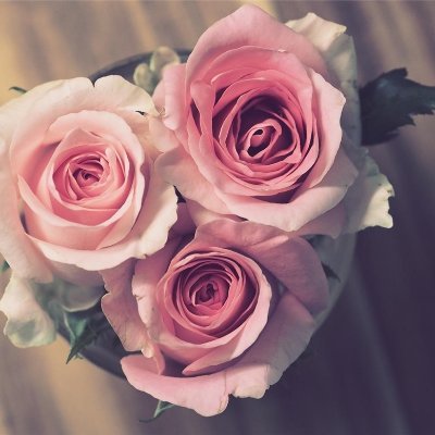 7yGVGISzLxntCck's profile picture. 副業で安定した収入を得る方法を紹介中。副業初心者に有益な情報を提供。わずかですが現金プレゼント企画も実施中！ 期間限定⇒ https://t.co/3huTo3PRf6