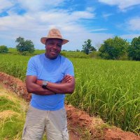 samG 🐊 (@garweh2011) 's Twitter Profile