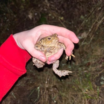 amiさんのプロフィール画像