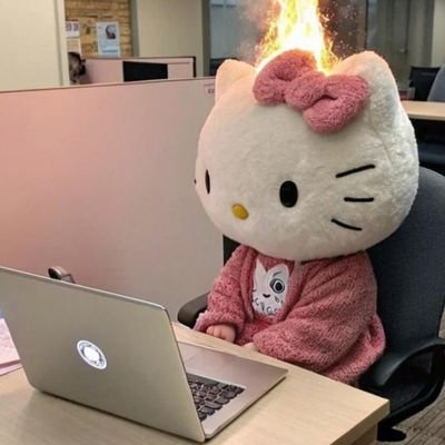 software developer -  Ui/Ux design💅👩🏻‍💻