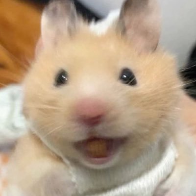 3zlyu's profile picture. 