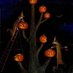 Hauntedspooky🕸️🕸️🕸️👻👻👻🎃🎃🎃 (@hauntedspooky) Twitter profile photo Hauntedspooky🕸️🕸️🕸️👻👻👻🎃🎃🎃 (@hauntedspooky) Twitter profile photo