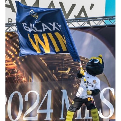 6X MLS CUP champion mascot for the LA Galaxy ✨/ Awarded ambassador to the city of Los Angeles /It’s called soccer.