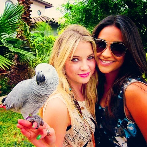 CinderellaFake's profile picture. Not worthy of being saved.