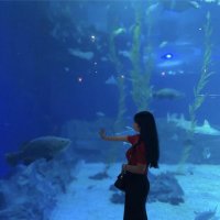 チトセ (@chitose1475708) 's Twitter Profile