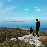David (@david1983ocl) 's Twitter Profile