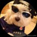 Jo's. (@antunezrichar) Twitter profile photo Jo's. (@antunezrichar) Twitter profile photo