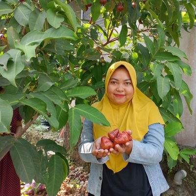 Evalin21492809's profile picture. evalin.g
evalin.isme
#SomniaNetwork
Its real me you follow me, i will follow you back  $NOM @onomyprotocol

@WAGMI HUB & $INFOFI