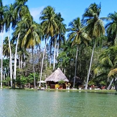 UnSpirituanomas's profile picture. De paso por este Mundo