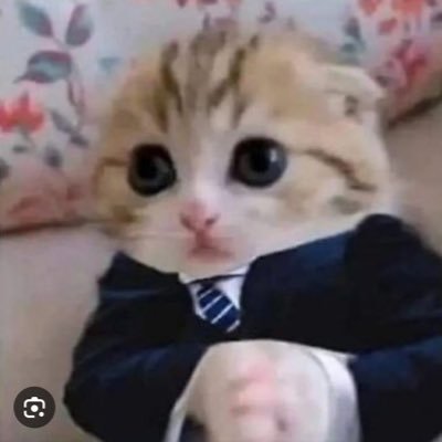 Just trying to find edge. Will work for free look at pinned post